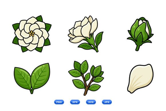 Elegant Gardenia Flower Clipart