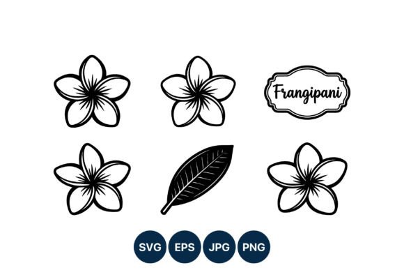 Frangipani Flower Line Art Vector: Graphics and Illustrations for Digital Sellers
