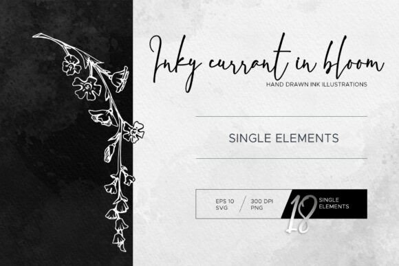 Inky Currant in Bloom: Graphics & Illustrations